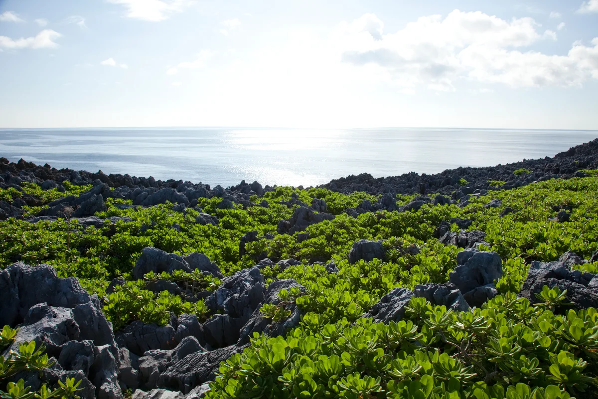 Subtropical limestone landscape facing the sea